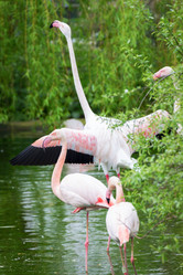 Similar image 7541113