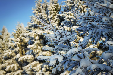 Similar image 7541120