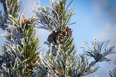 Similar image 7541127