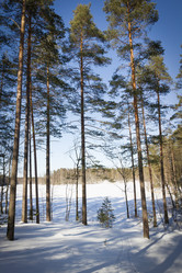 Similar image 7541133