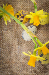 Similar image 7541137