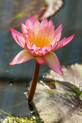 Similar image 7541138