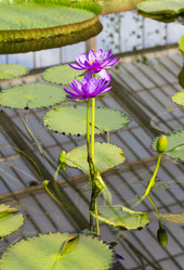 Similar image 7541141