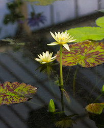 Similar image 7541142