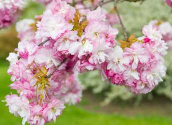 Similar image 7541155