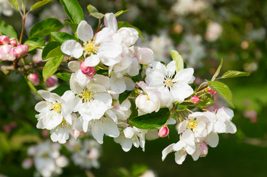 Similar image 7541156