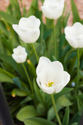 Similar image 7541159