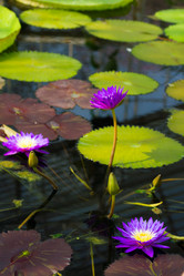 Similar image 7541160