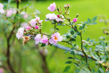 Similar image 7541162