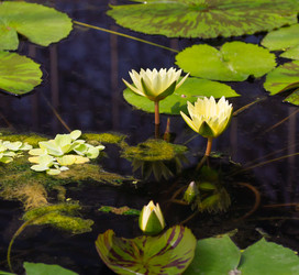 Similar image 7541166