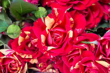 Similar image 7541170