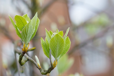 Similar image 7541173