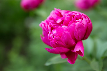 Similar image 7541175