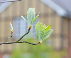 Similar image 7541185