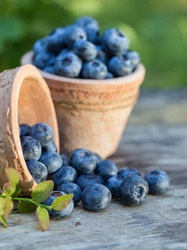 Similar image 7541191