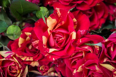 Similar image 7541198