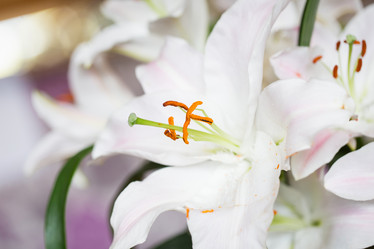 Similar image 7541202