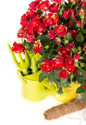 Similar image 7541203