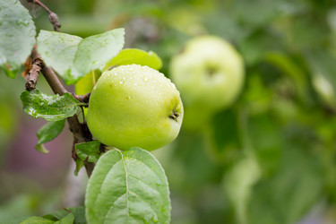 Similar image 7541204