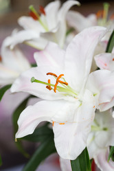 Similar image 7541213