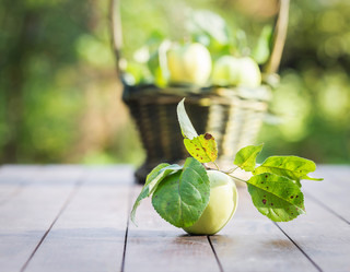 Similar image 7541218