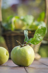 Similar image 7541219