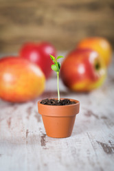 Similar image 7541220