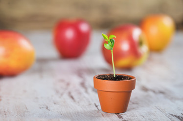 Similar image 7541221