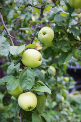 Similar image 7541222