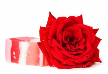 Similar image 7541225