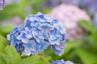 Similar image 7541230