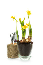 Similar image 7541234