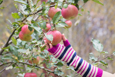 Similar image 7541237