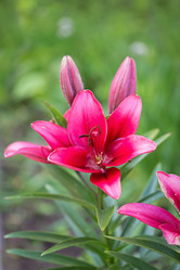 Similar image 7541245