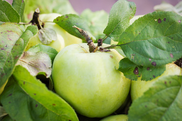 Similar image 7541251