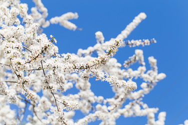 Similar image 7541255