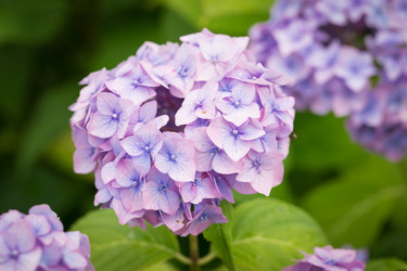 Similar image 7541259