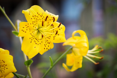 Similar image 7541265