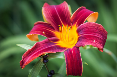 Similar image 7541266