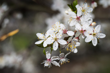 Similar image 7541271