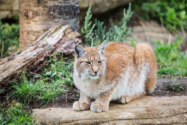 Similar image 7541317