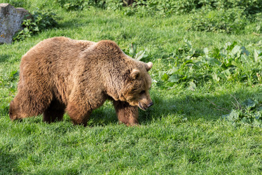 Similar image 7541318