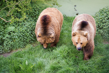 Similar image 7541319