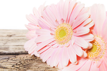 Similar image 7541331