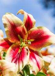 Similar image 7541337