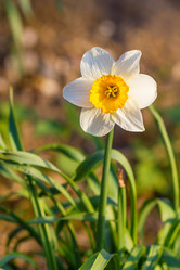 Similar image 7541353