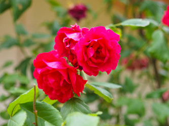 Similar image 7541484