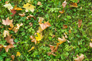 Similar image 7541550