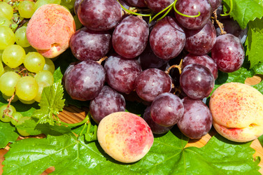 Similar image 7541570