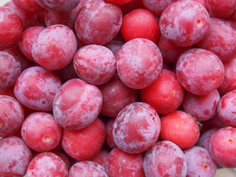 Similar image 7541608